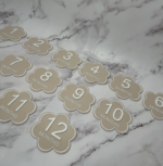 Baby Milestone Plaques